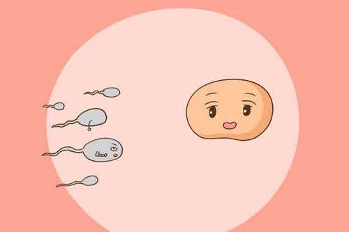 广州试管婴儿花费揭秘：一站式解析费用与省钱妙招